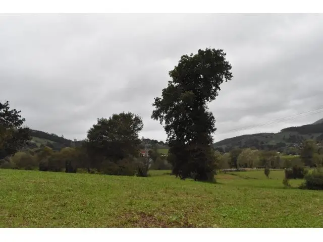 Finca rustica en Santiurde de Toranzo con vistas