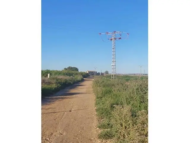 Terreno Rústico para Cultivo en Los Montesinos 7134m2