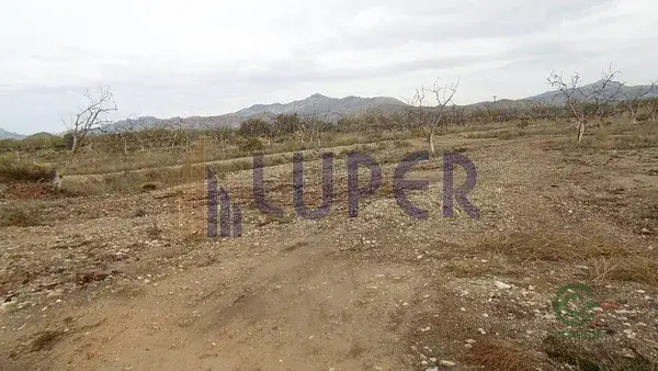 Terreno Rustico en Agost 10800m2