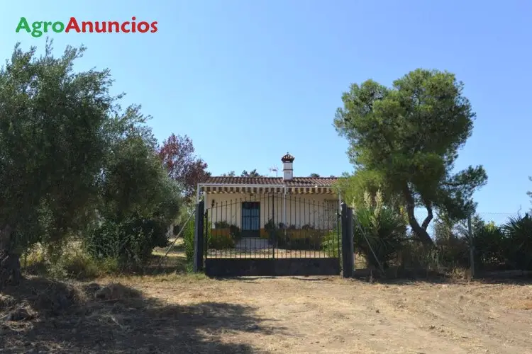 Venta  de Finca de recreo en Badajoz