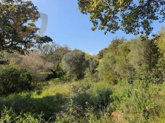 Parcela Esquina Privada con Alcornoques - Suroeste