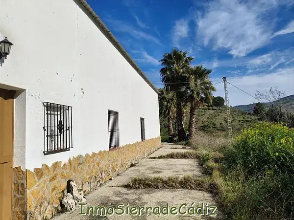 Finca Rustica en Ronda Malaga con Olivar
