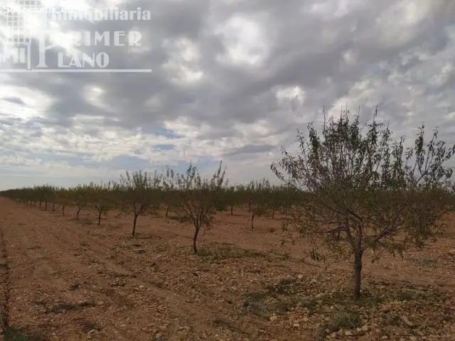 Finca 12 Hectareas Riego Pozo San Martin Tomelloso