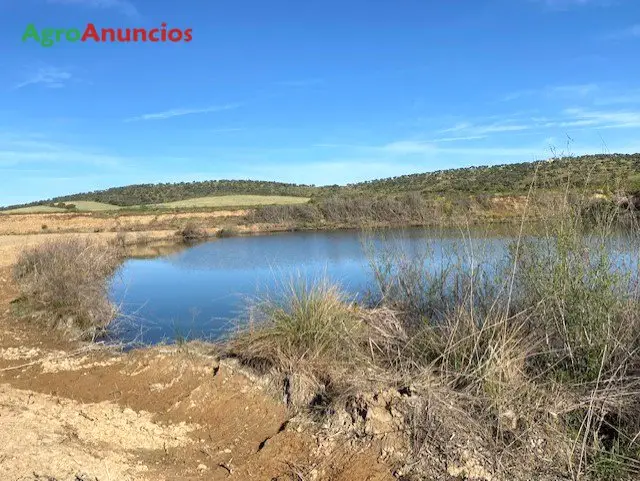 Venta  de Finca de regadío en Badajoz