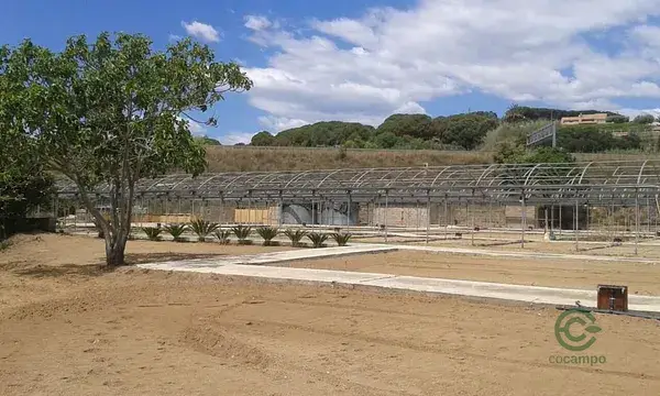 Finca Rustica Agricola 7366m2 Arenys de Mar