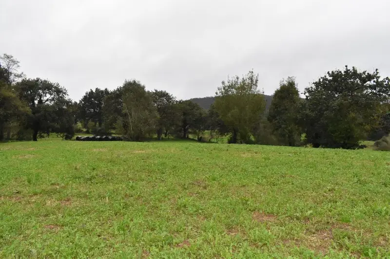 Venta Terreno con jardin en Iruz, Santiurde de Toranzo - Ref: PIT-T-1341