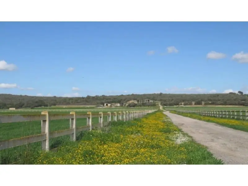 Finca Rustica en Venta Campos Mallorca 60 Hectareas