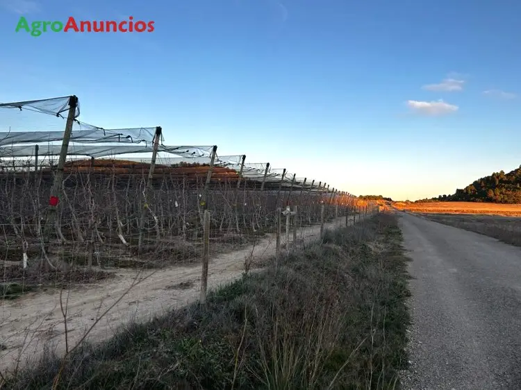 Venta  de Finca san antón en Huesca