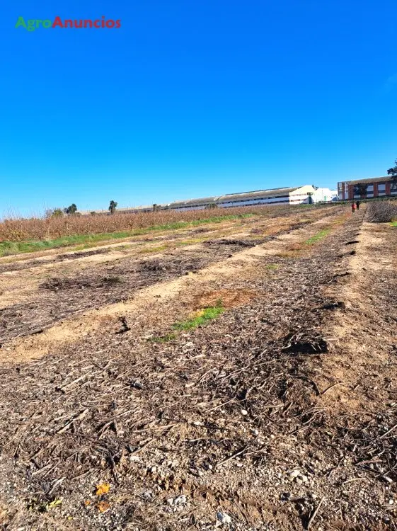 Venta de Suelo Urbanizable en Valencia - Parcelas Rústicas