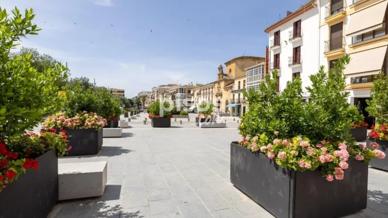 Piso en venta Alcalá la Real 190m2 4 dormitorios terraza