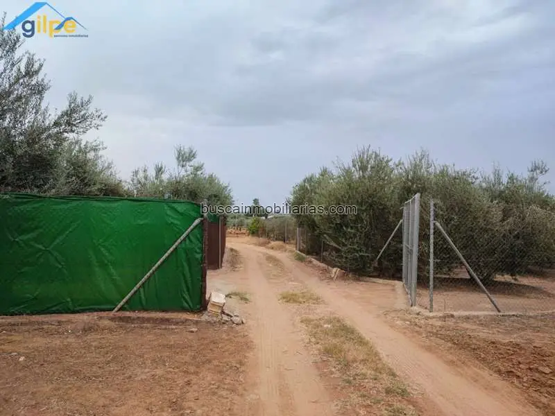 Parcela Rustica en Venta Arahal