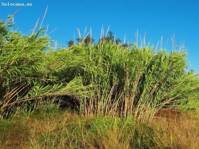 Terreno Agricola en Venta El Verger Alicante