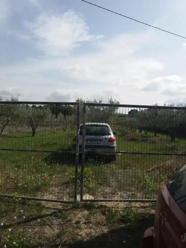 Venta Solar en Castalla con Olivos