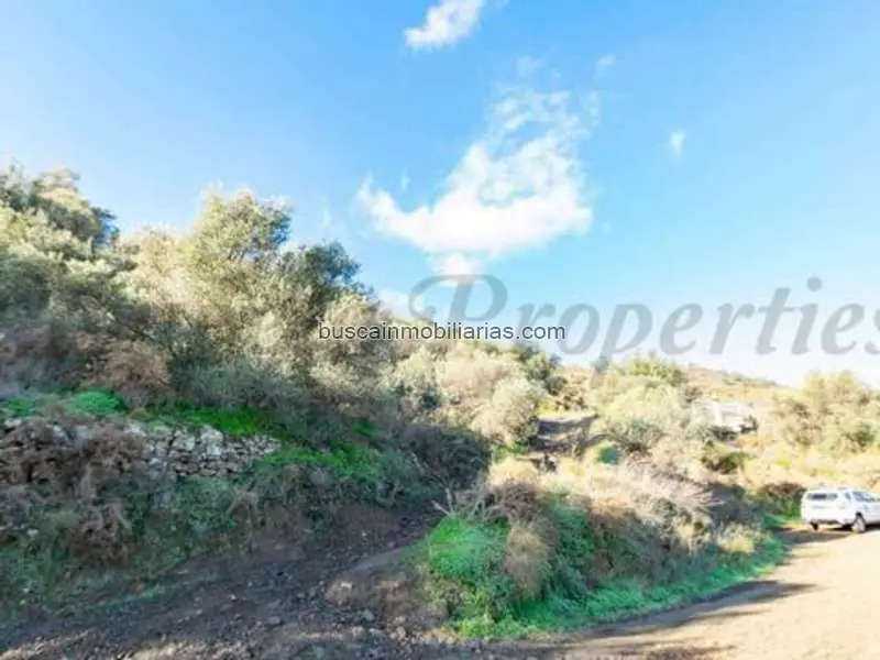 Parcela Rustica en Venta Torrox 12000m2 Vistas al Mar