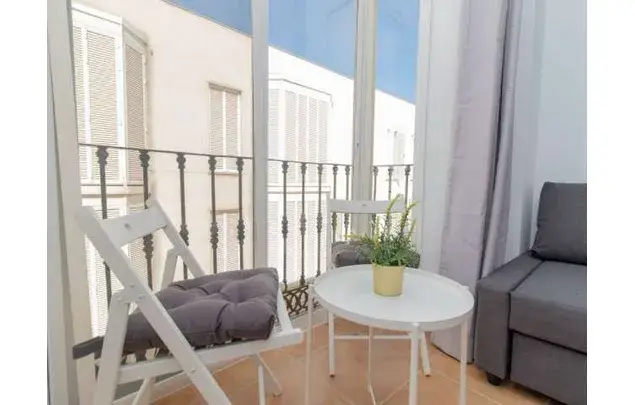 Alquiler Apartamento 1 Dormitorio Málaga Soho Centro