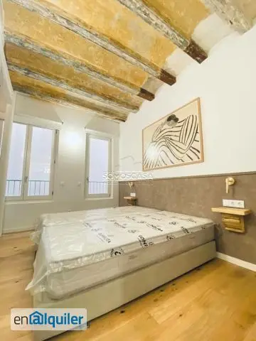 Alquiler Piso Amueblado Lujo Gotico Barcelona 2 Dormitorios Terraza Piscina