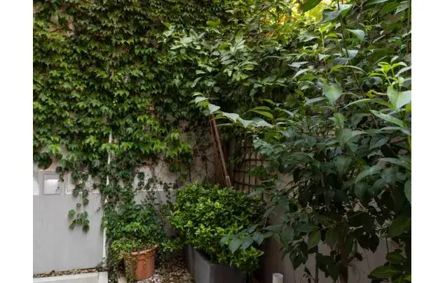Apartamento 1 Dormitorio Madrid Guindalera