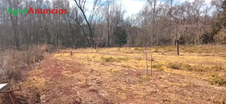 Venta  de Finca de recreo en Cáceres