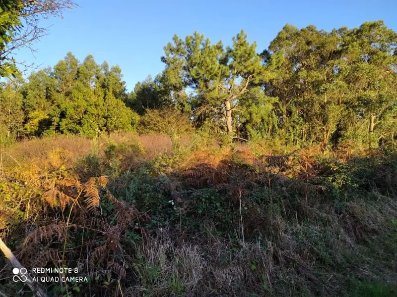 Finca Rustica en Venta Ares A Coruna