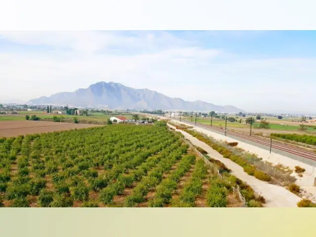 Casa Rural con terreno 46816m2 Callosa Segura
