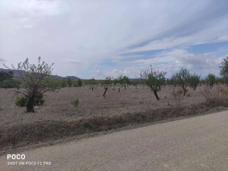 Parcela Rustica Regadío Lorca Inversión Agrícola 99800m2