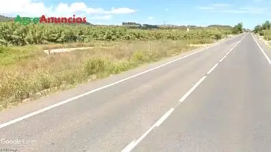 Venta  de Finca de regadío a pie de carretera en Valencia