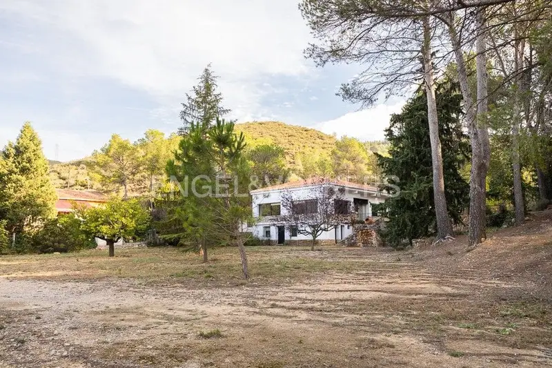 Finca Rustica en Buñol Valencia 7000m2