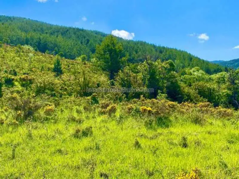 Parcela en venta Jaca Pirineo Aragonés Hotel 18 Plazas