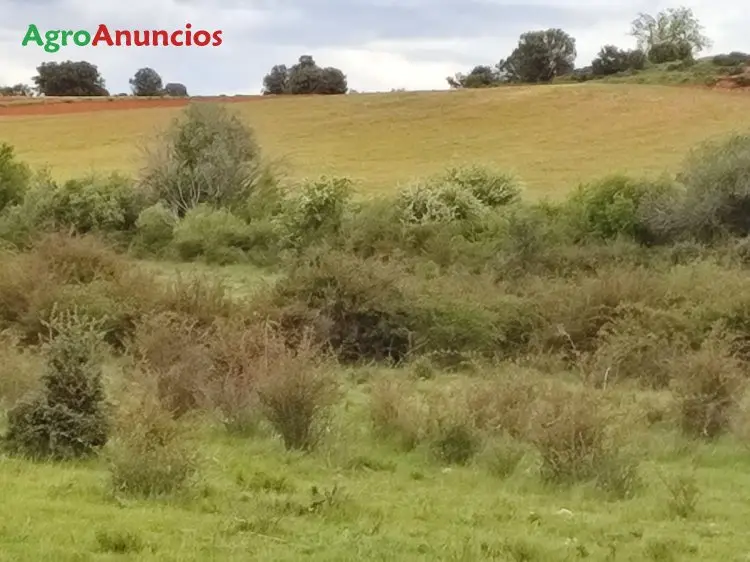 Venta  de Finca de recreo en Segovia