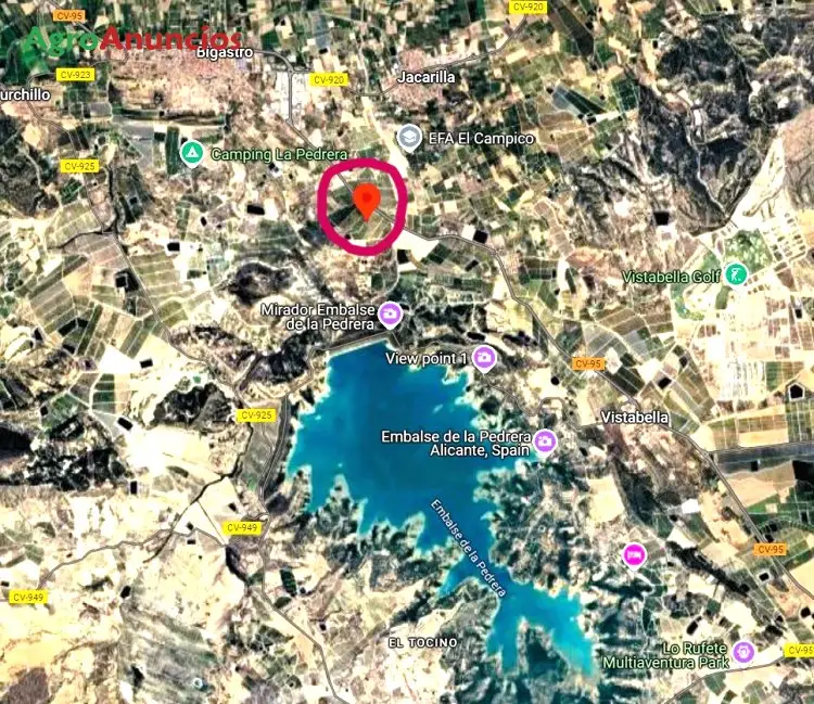 Finca de Limoneros en Venta Alicante 8 Hectareas