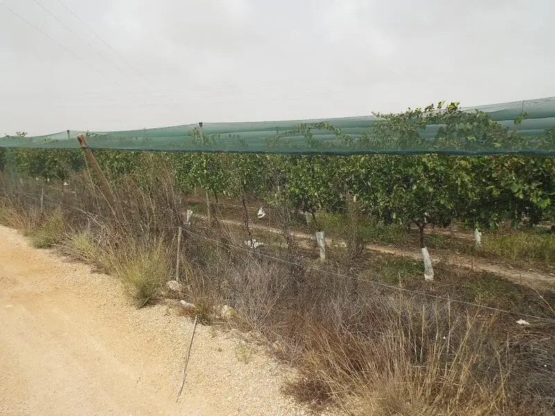 Terreno en Venta cerca de Alicante