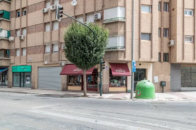 Venta Local Comercial Parque Genil Centro Granada
