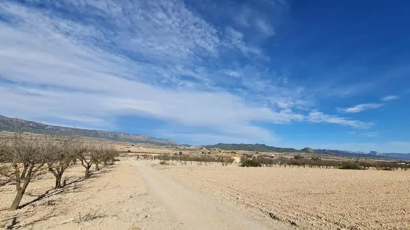 Parcela Rustica en Venta Pinoso Alicante 14778m2 Vistas Montaña