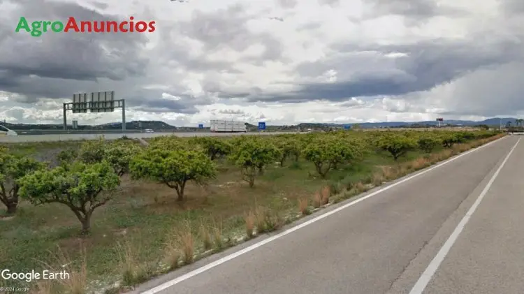 Venta  de Finca rustica junto a poligono industrial en Valencia