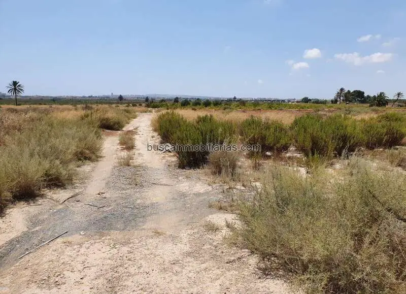 Suelo Urbanizable Residencial en Elche El Altet
