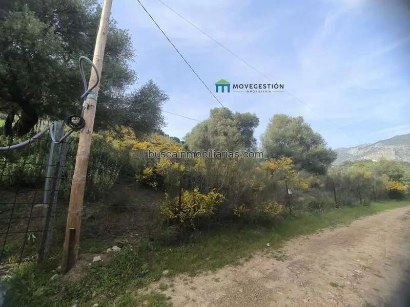 Terreno Rustico en Venta Ubrique Zona El Amarguillo 3227m2