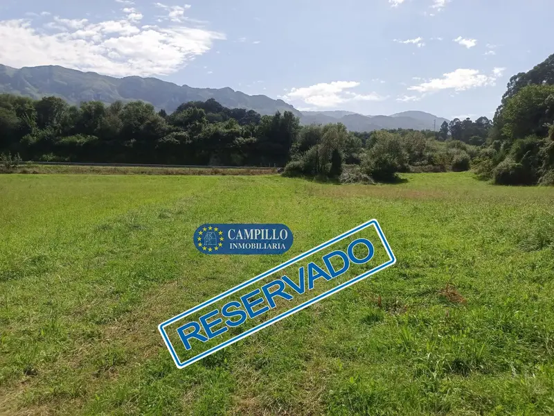 Venta Finca Rustica Parres Llanes Acceso Asfaltado