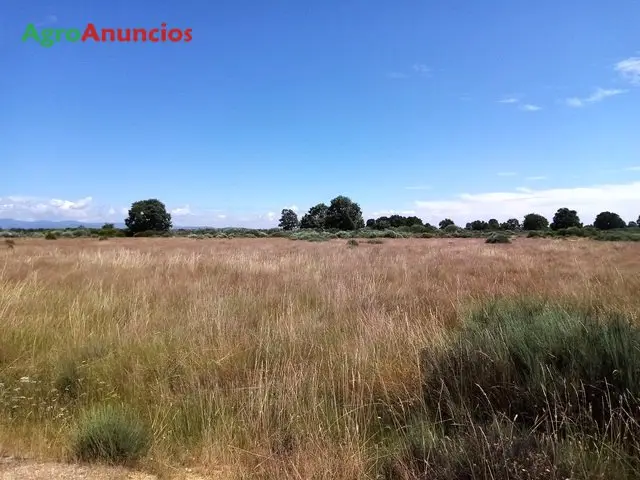 Venta  de Terreno de secano en Zamora