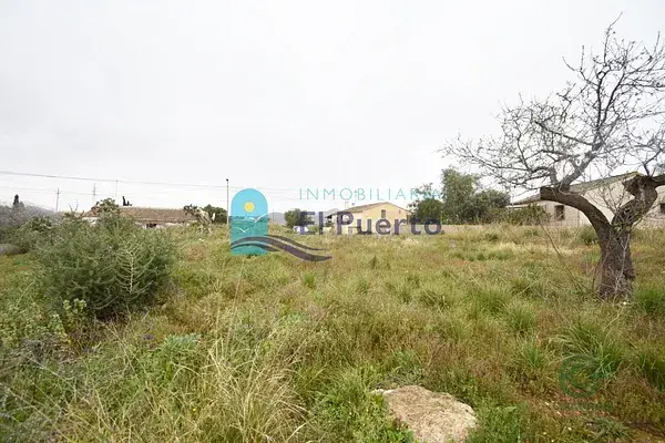 Terreno Rustico Cartagena Tallante 2792m2 con Pozo de Agua