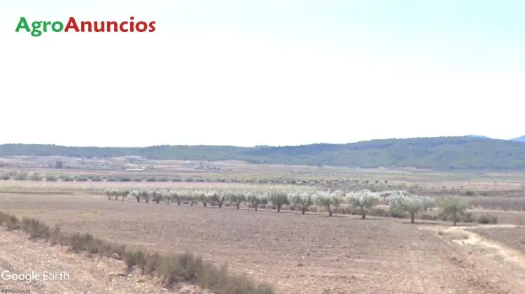 Finca Agricola con Frutales en Jumilla Murcia