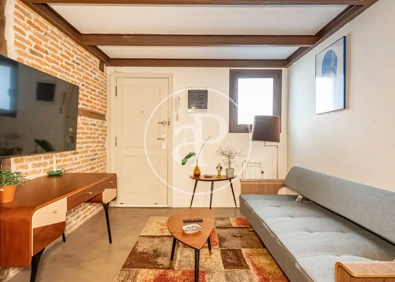 Apartamento con Encanto en Embajadores Madrid Alquiler Temporada