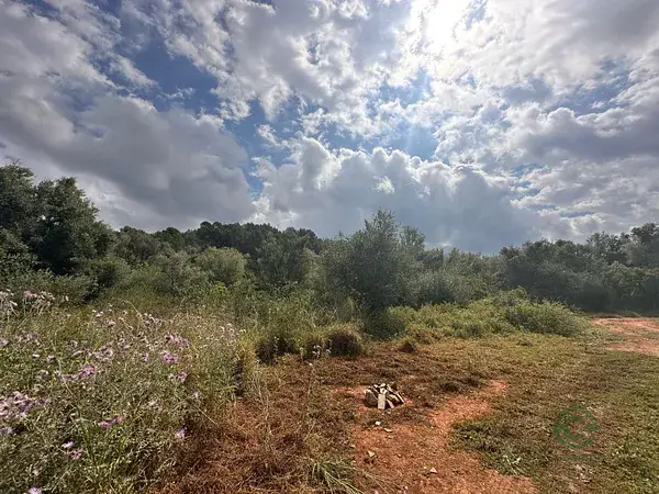 Terreno Rustico en Venta Alzira 18112m2