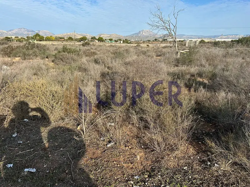 Venta Terreno Rustico 14000m2 Alcoraya Alicante
