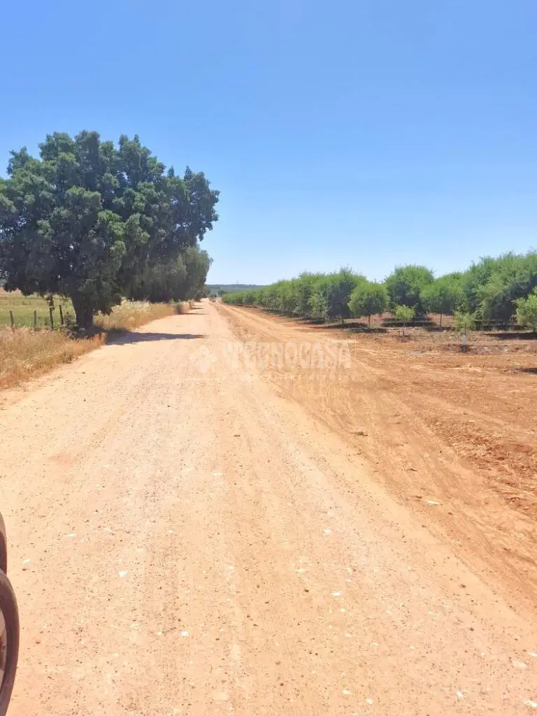 Terreno Rustico en Venta en Badajoz 25000m2