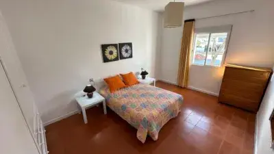 Alquiler Piso Paseo del Real Profesores 2025 2026