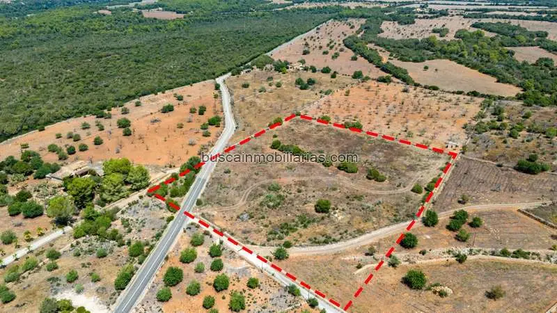 Parcela rústica en venta en Petra