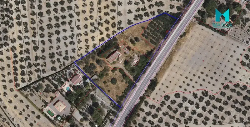 Venta Finca Rustica Ubeda Inversores Remate Judicial 8174m2