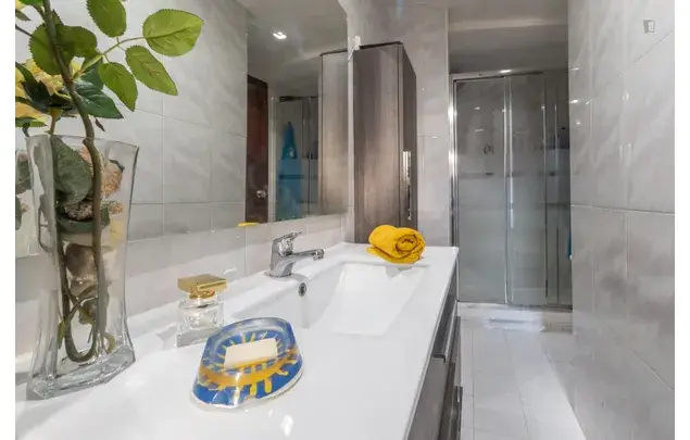 Rent 2 bedroom apartment in Madrid