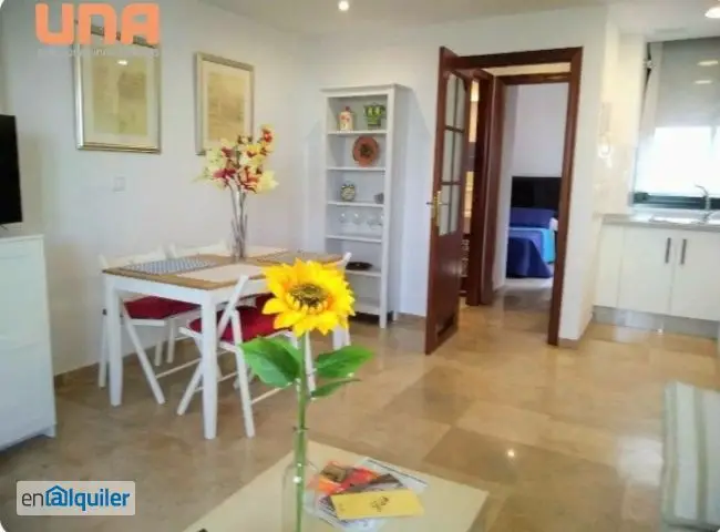 Alquiler Piso Aire Acondicionado Centro Parejas