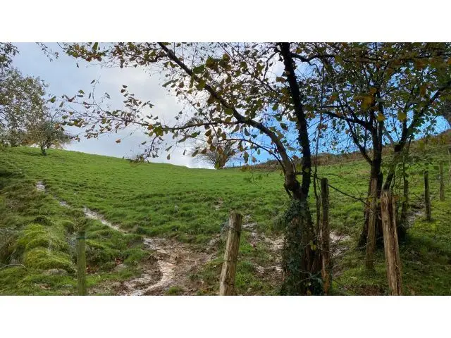 Terreno Rustico en Venta Valdaliga Cantabria